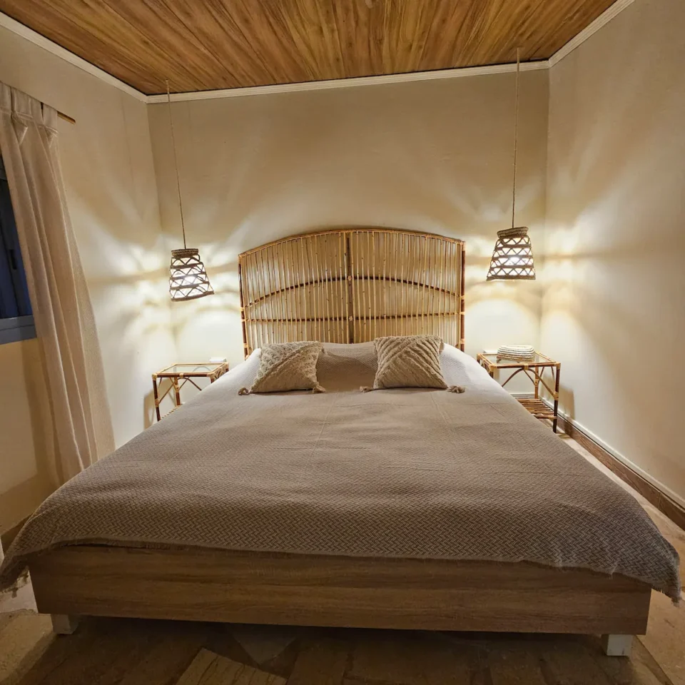 FIG HOUSE - Image 2