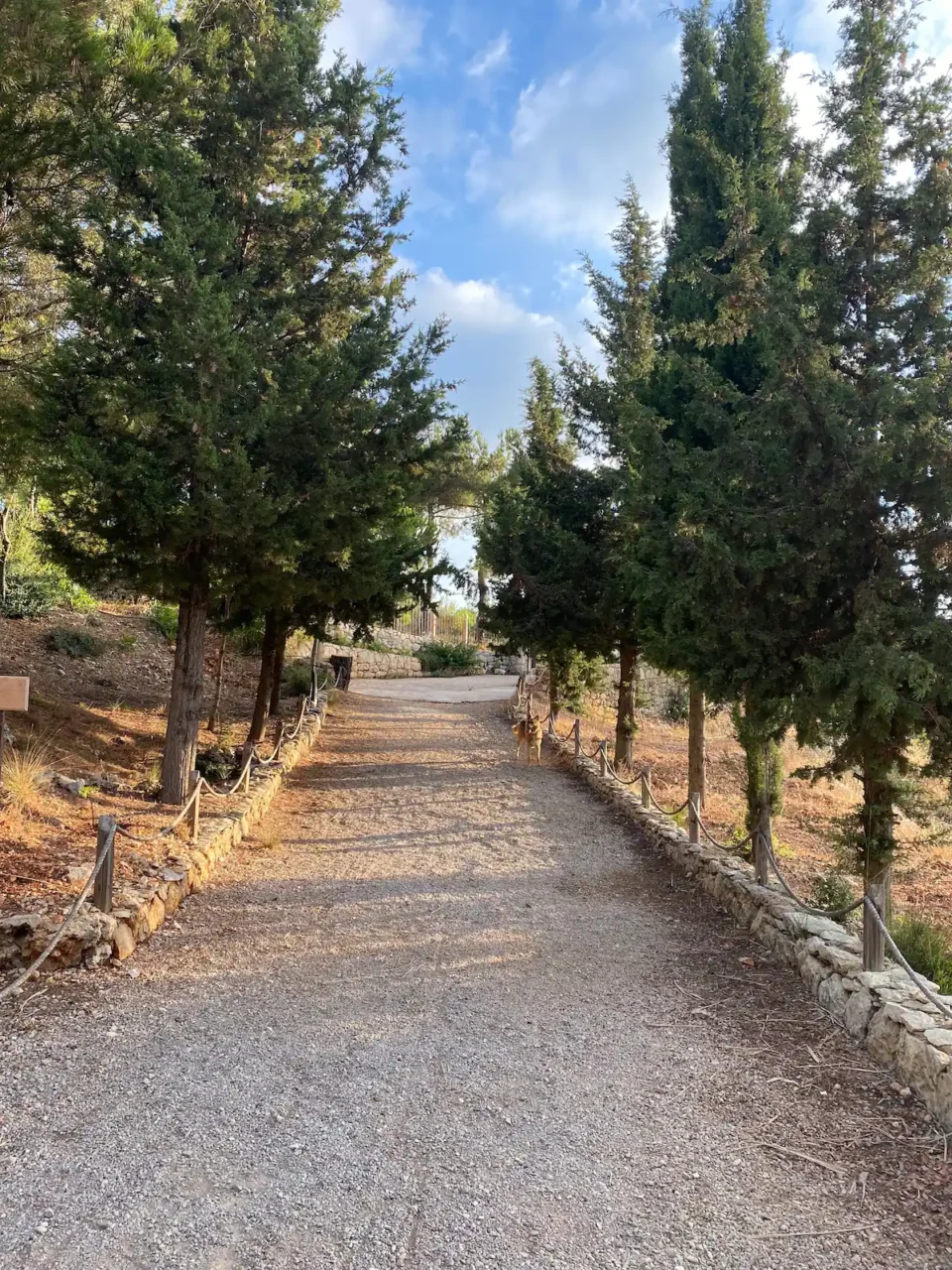 PARADISE VILLA DEIRELQAMAR - Image 13