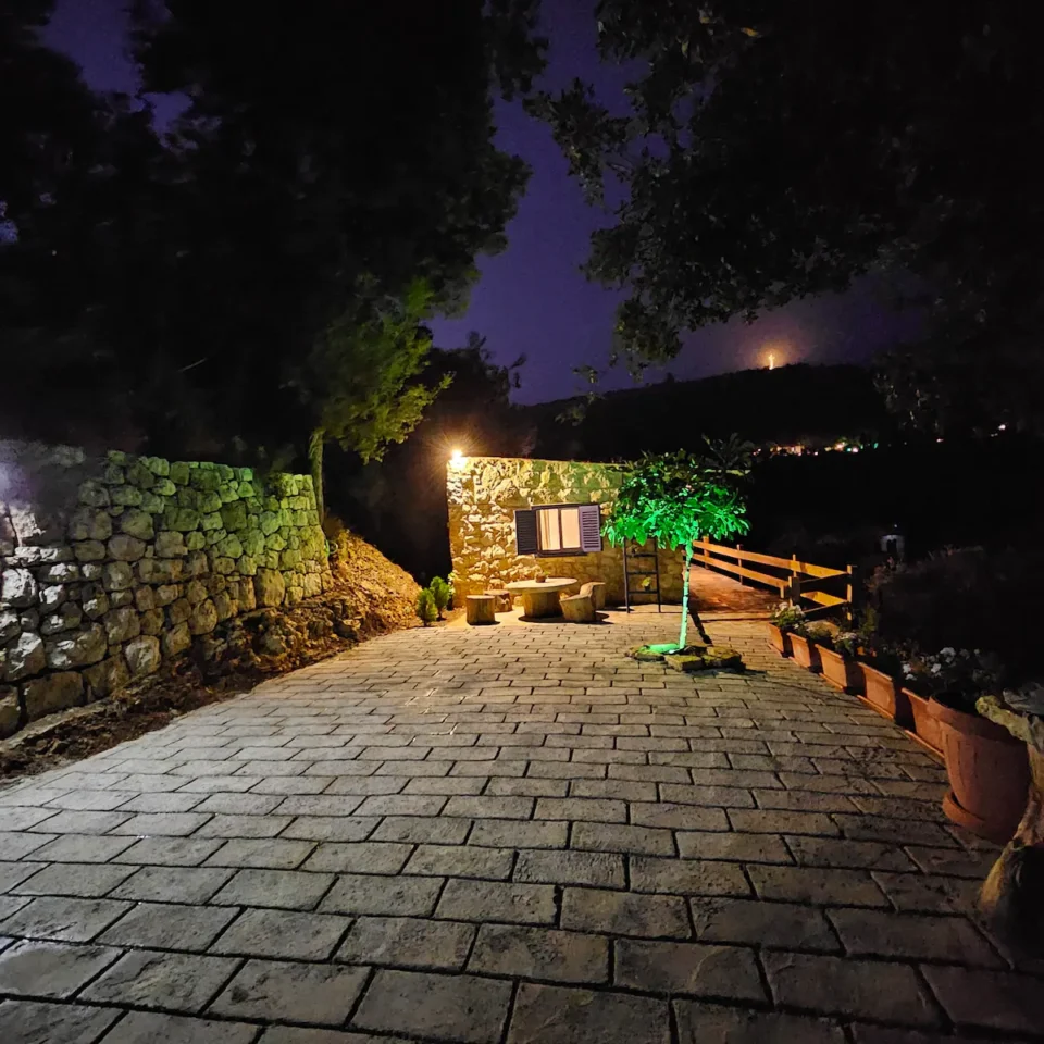 FIG HOUSE - Image 7