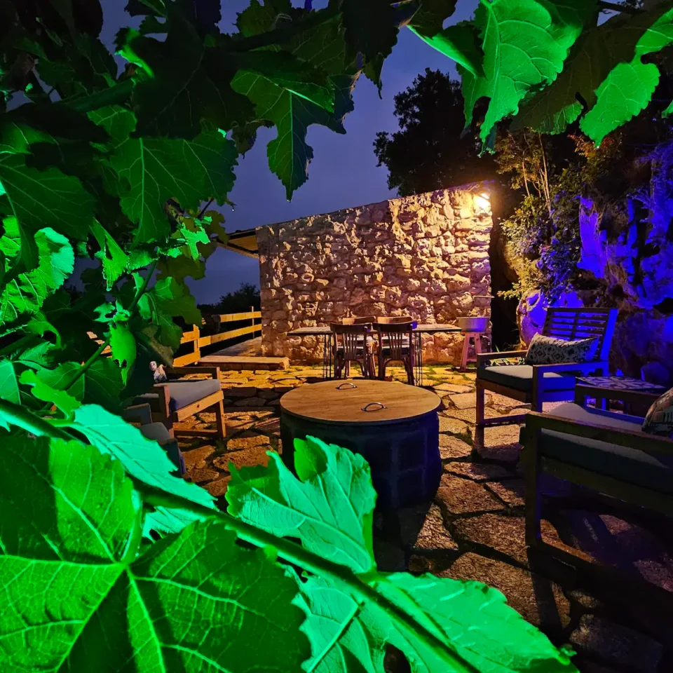 FIG HOUSE - Image 11