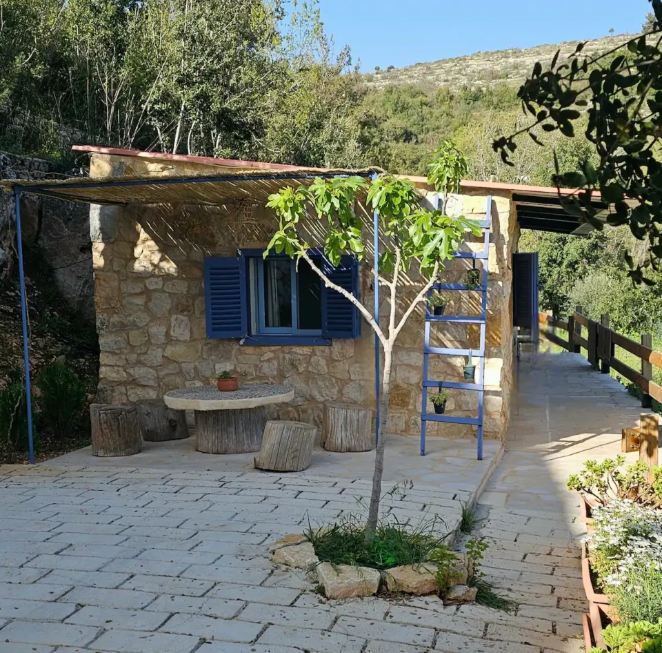 FIG HOUSE - Image 12