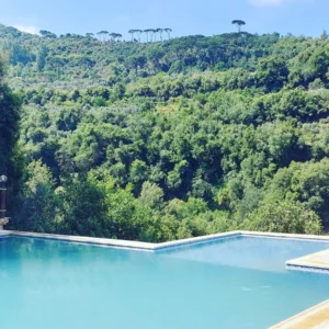 MOUNTAIN POOL VIEW