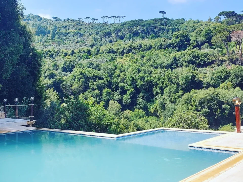 MOUNTAIN POOL VIEW