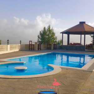 FLAMINGO PRIVATE POOL