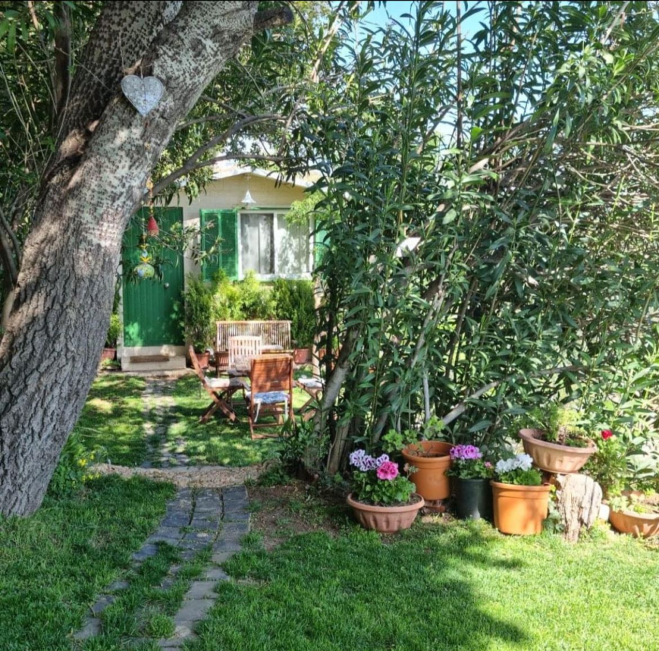 LA MAISON DU BONHEUR - Image 4
