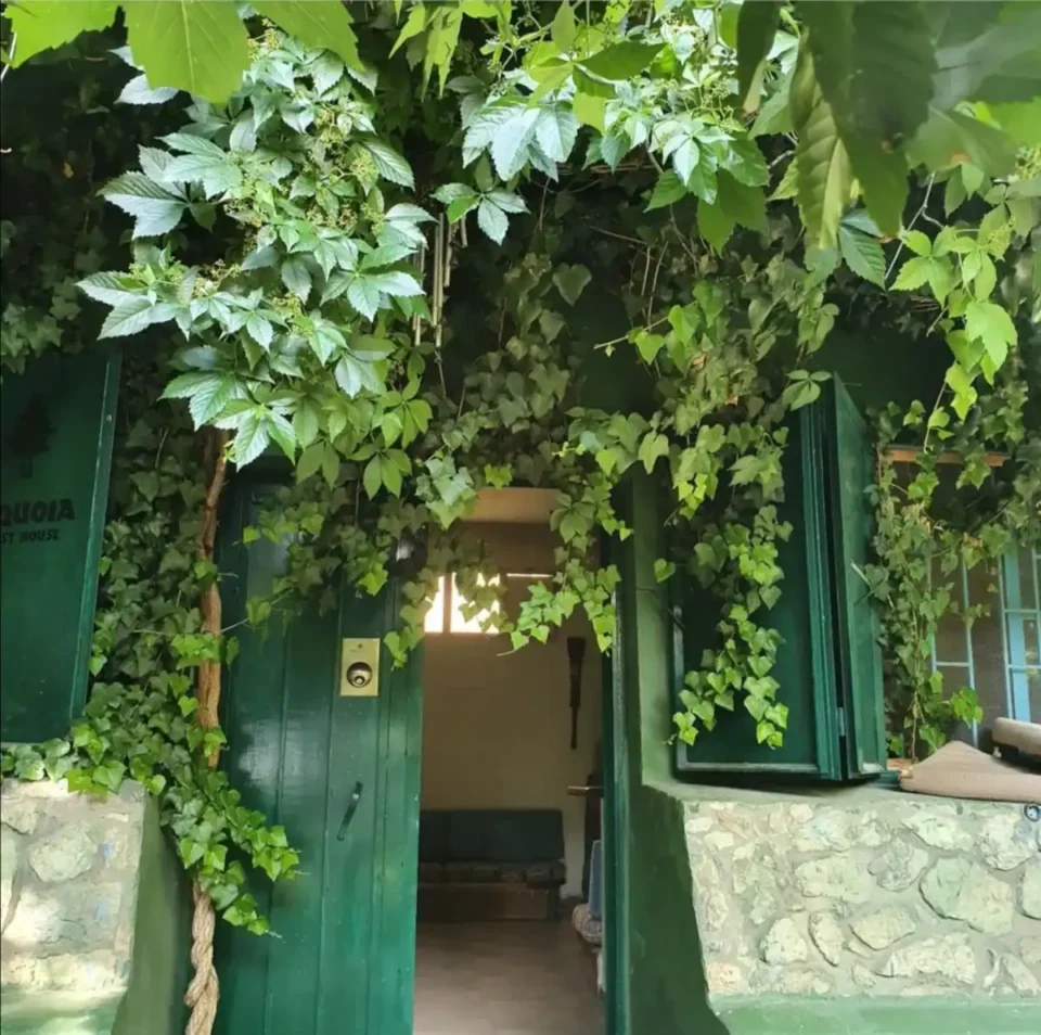 SEQUOIA GUEST HOUSE - Image 3