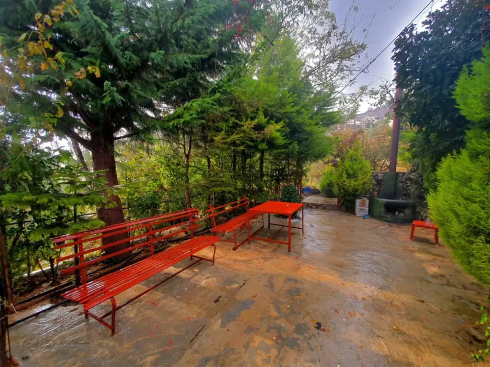 SEQUOIA GUEST HOUSE - Image 14