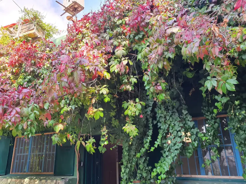 SEQUOIA GUEST HOUSE - Image 4