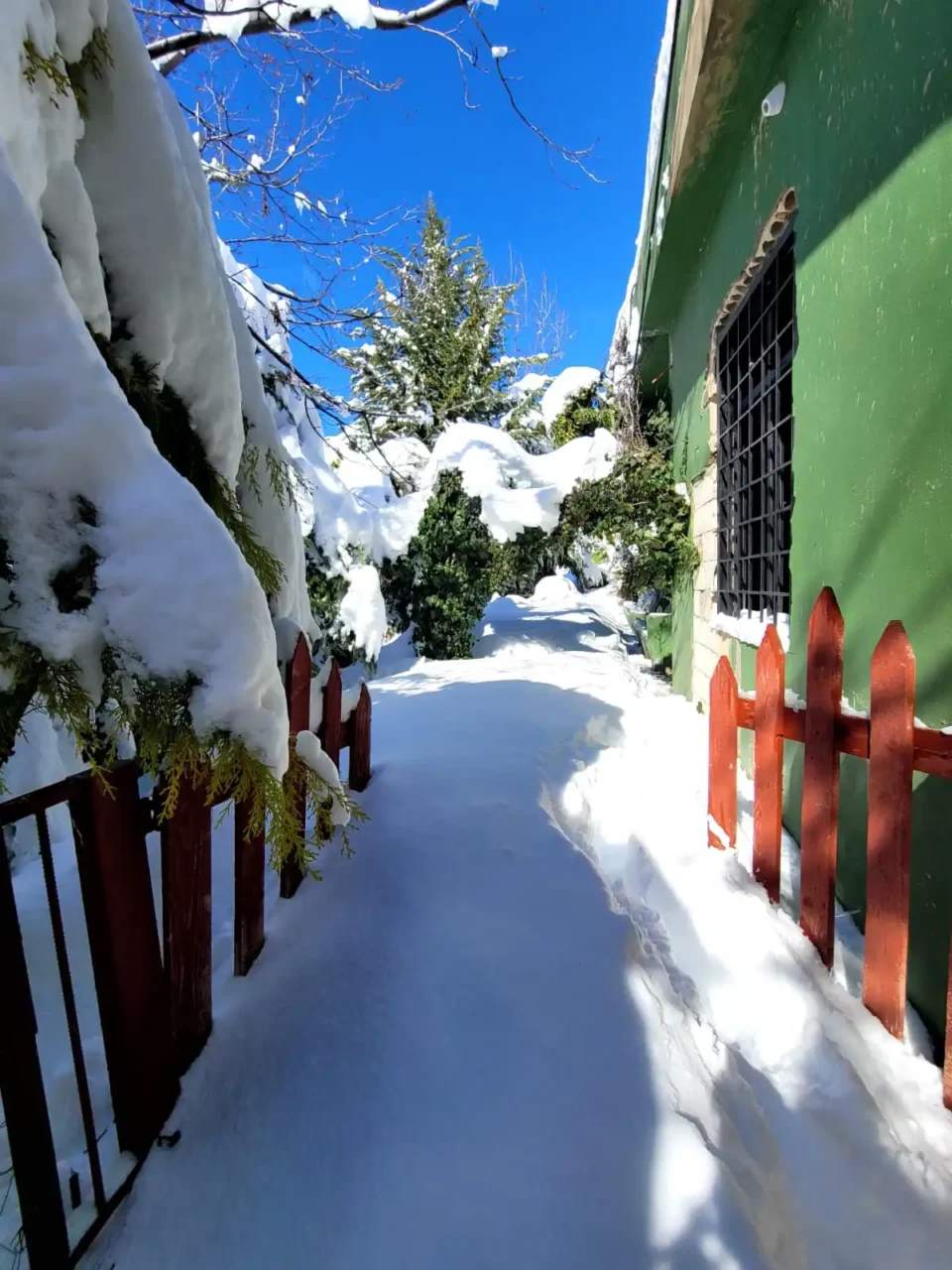 SEQUOIA GUEST HOUSE - Image 16