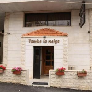 TOMBE LU NEIGE